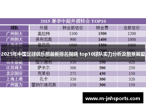 2025年中国足球俱乐部最新排名揭晓 top10球队实力分析及前景展望