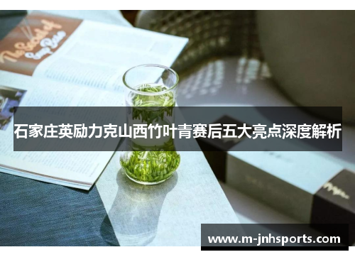 石家庄英励力克山西竹叶青赛后五大亮点深度解析