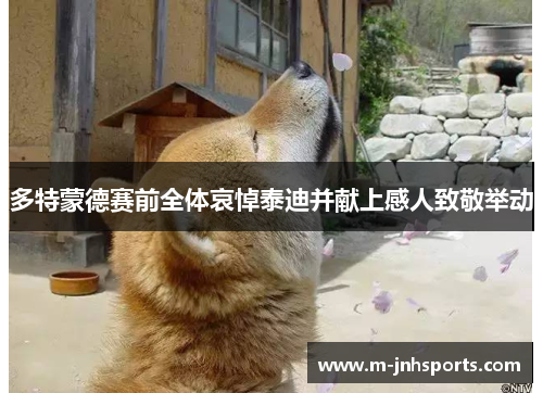 多特蒙德赛前全体哀悼泰迪并献上感人致敬举动